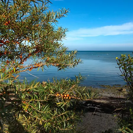 Am Kleine Krabbe * Gollwitz
